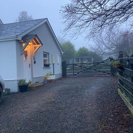 Beech Tree Cottage Glenwherry Exterior foto