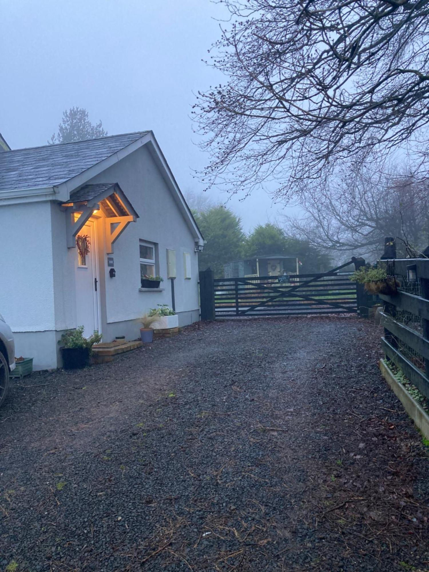 Beech Tree Cottage Glenwherry Exterior foto